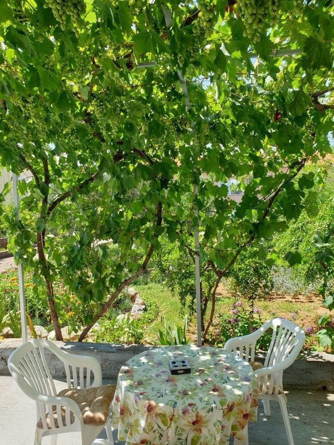 Apartments Andelic Sveti Filip i Jakov Εξωτερικό φωτογραφία